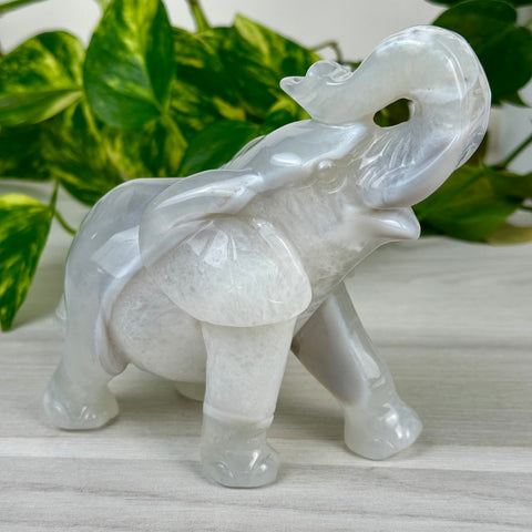 Statement Druzy Agate Elephant - Jasmine