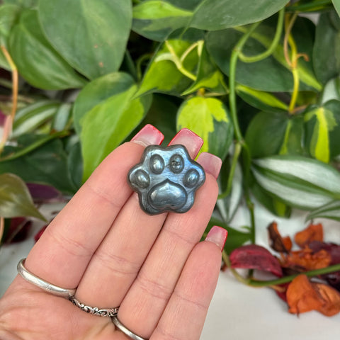 Labradorite Pet Paw - Crystal Carving
