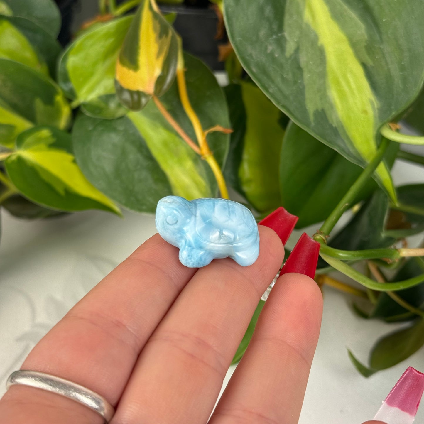 Mini Larimar Turtle