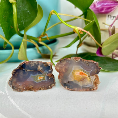 Malawi Agate Pair