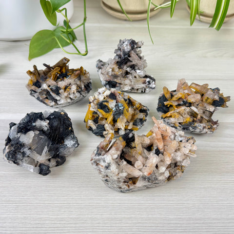 Hematite Roses With Harlequin Quartz Specimen