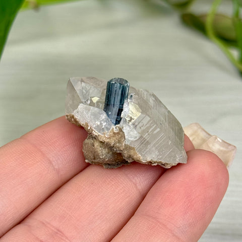 Indicolite Tourmaline Specimen