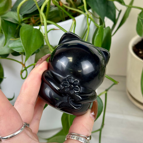 Obsidian Cat With a Secret