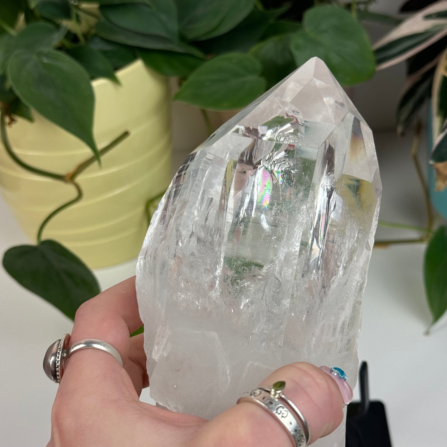 Incredible Lemurian Quartz (W/ Custom Stand) - C