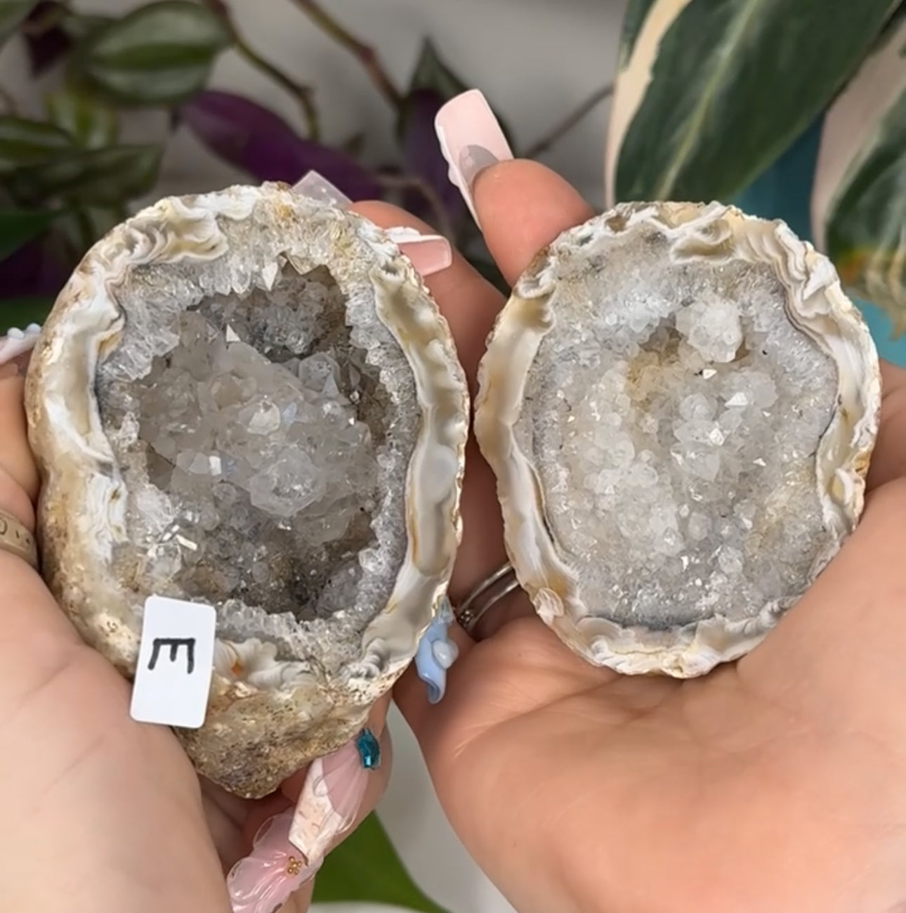 Druzy Agate Geode Pair