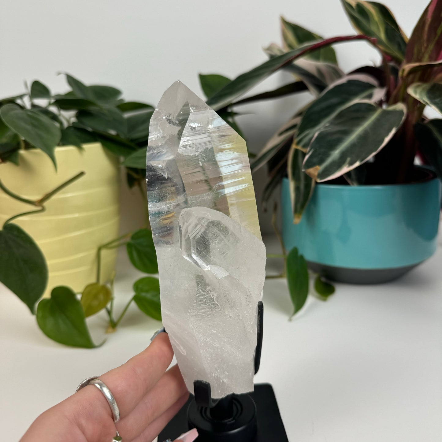 Incredible Lemurian Quartz (W/ Custom Stand) - H