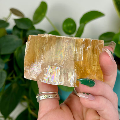 Honey Calcite Jelly