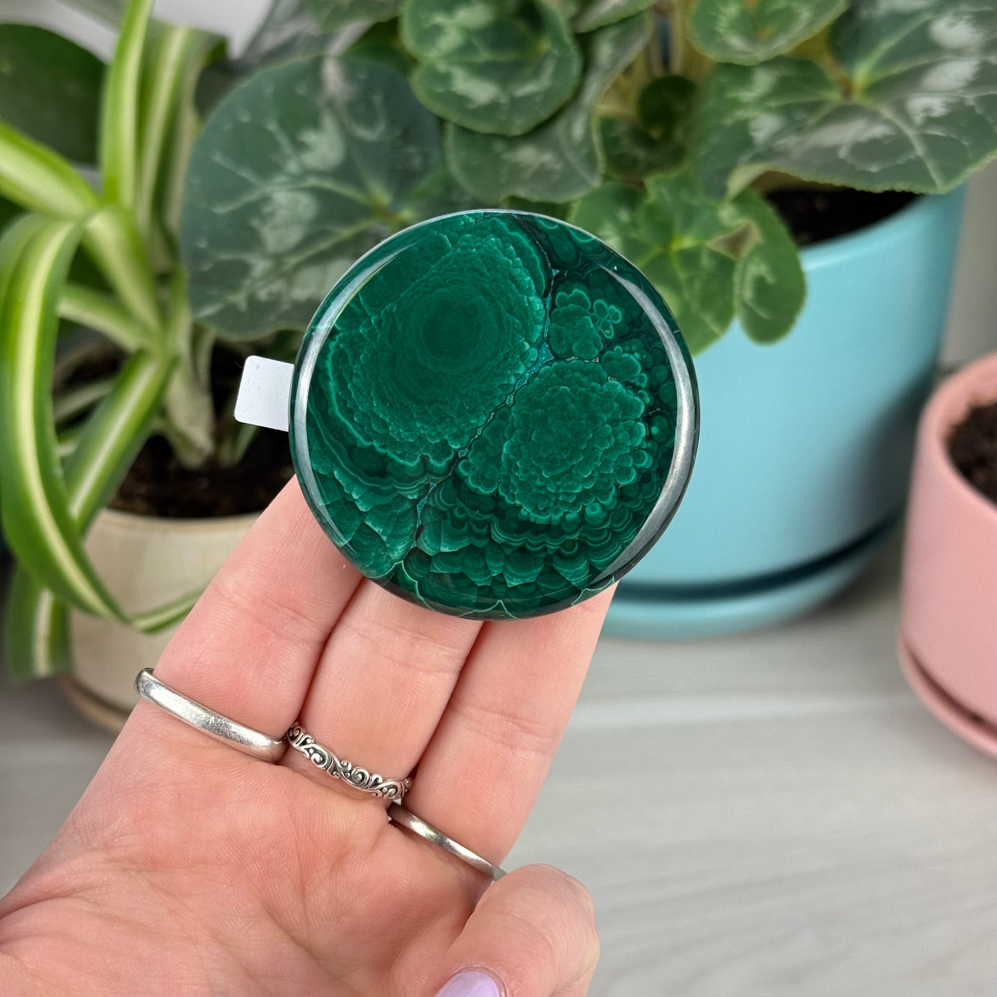 Malachite Cookie - A1