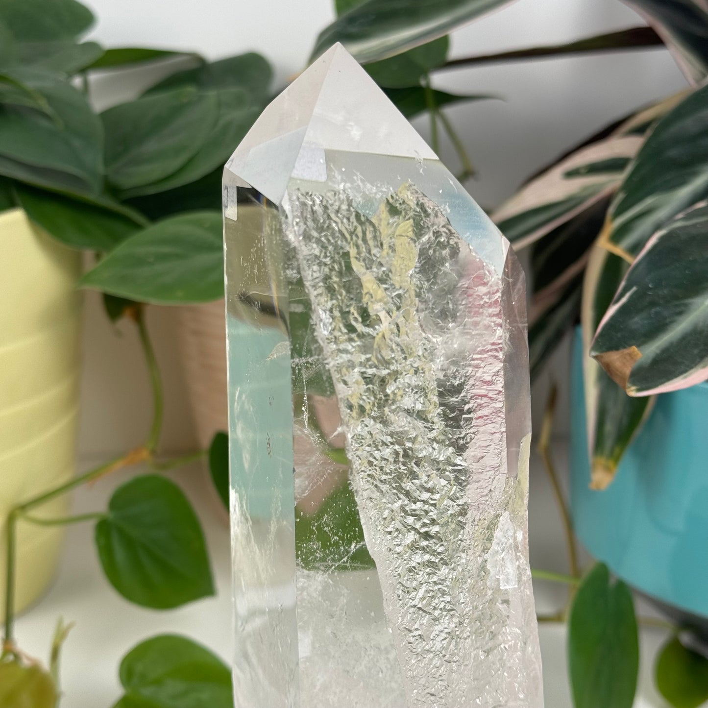 Incredible Lemurian Quartz (W/ Custom Stand) - D