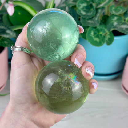 Green Grape Fluorite Sphere