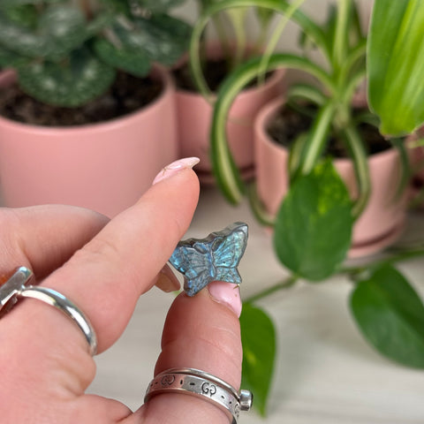 High Flash Labradorite Butterfly