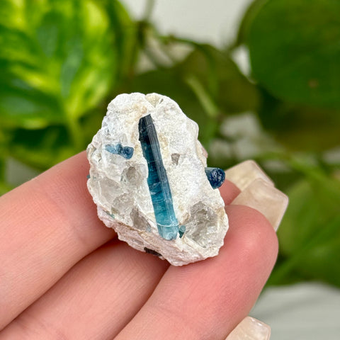 Indicolite Tourmaline Specimen