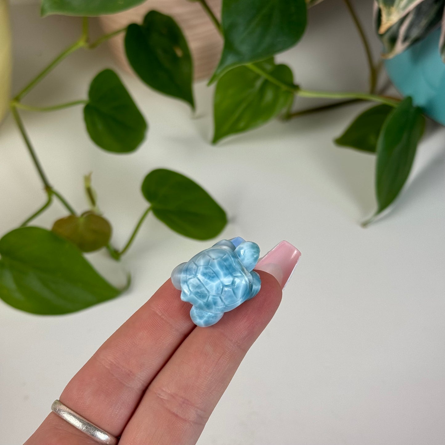 Mini Larimar Turtle