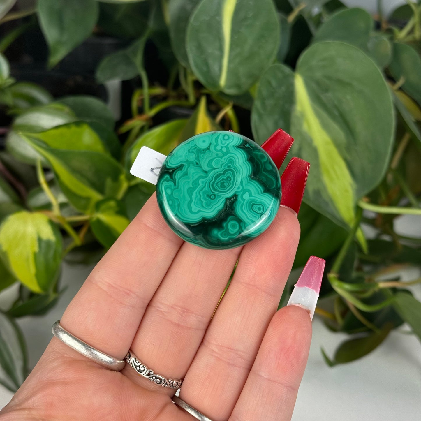 Mini Malachite Cookie