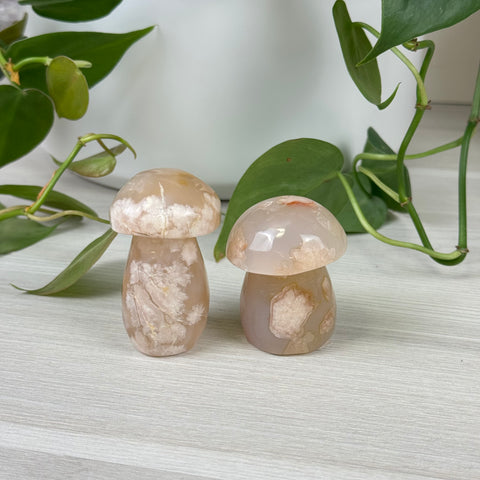 Flower Agate Mushroom