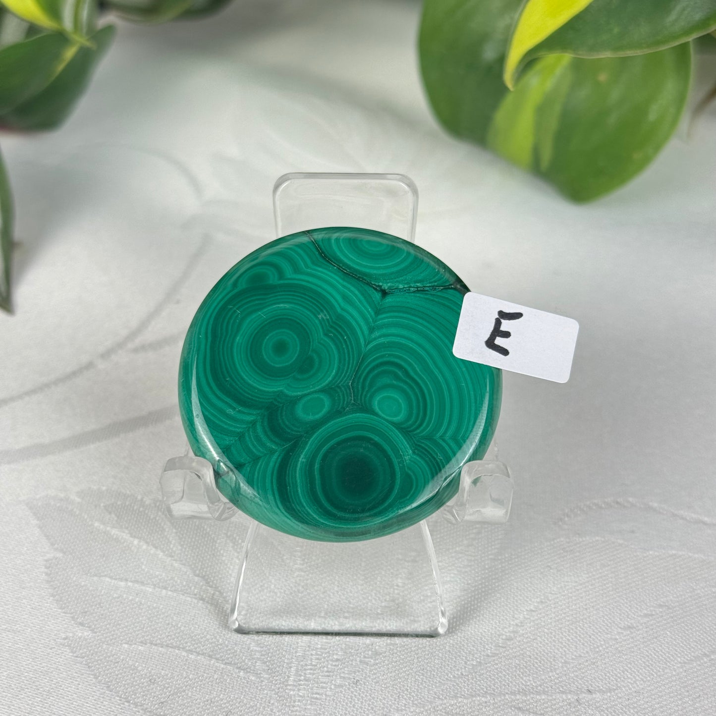 Mini Malachite Cookie