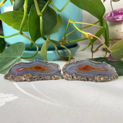 Malawi Agate Pair