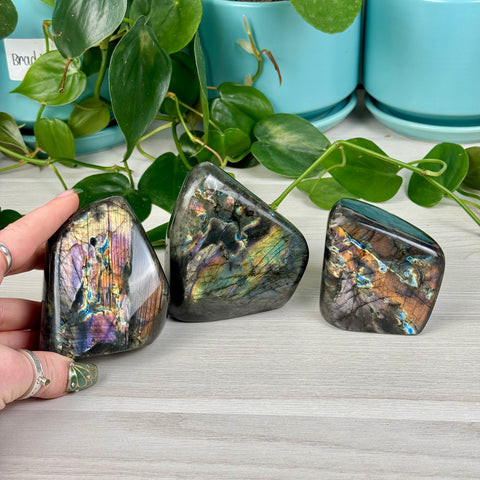 Intuitively Picked Labradorite Free Form