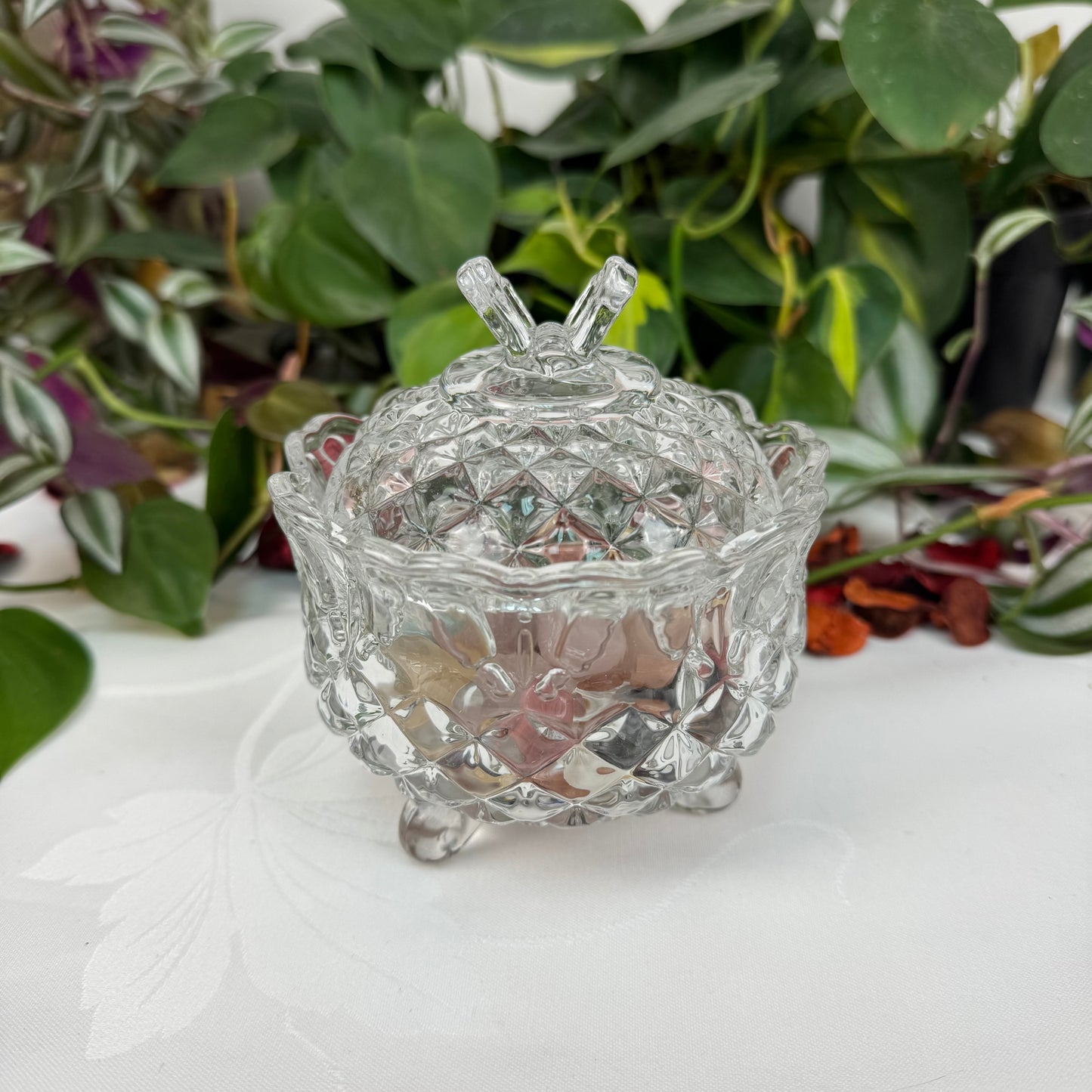 Glass Butterfly Dish