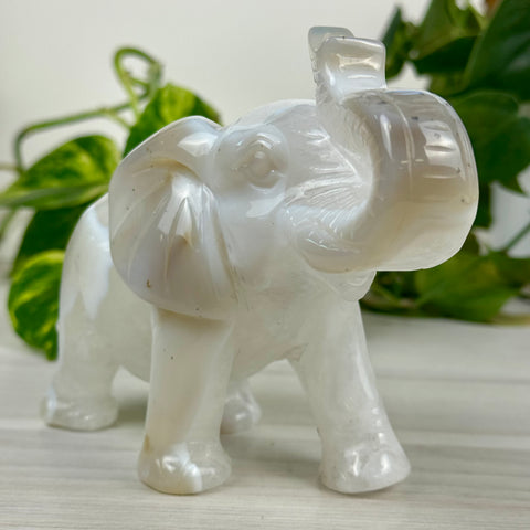 Statement Druzy Agate Elephant - Fiona