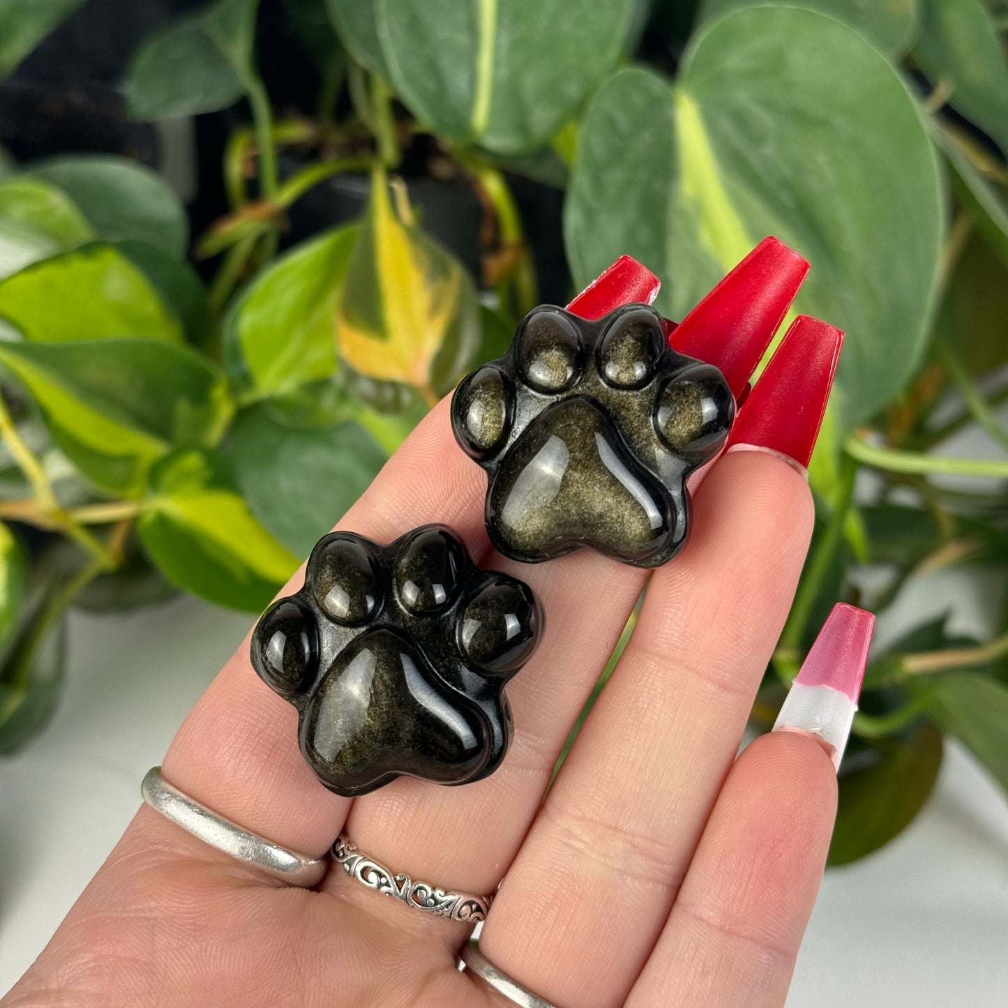 Gold Sheen Obsidian Pet Paw