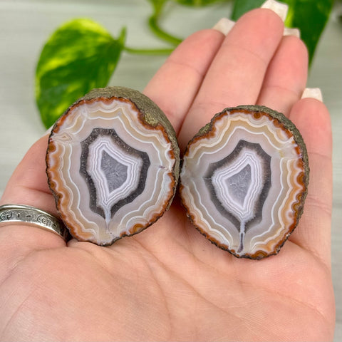 Candy Agate Pairs