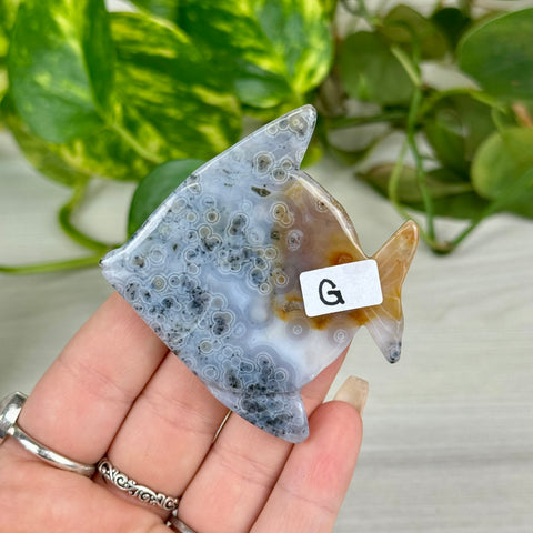 Ocean Jasper Fish Carving - G