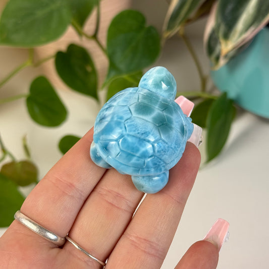 Large Larimar Turtle - K