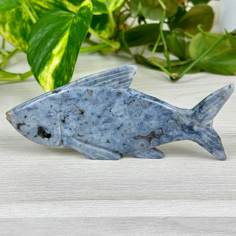 Ocean Jasper Fish Carving - E