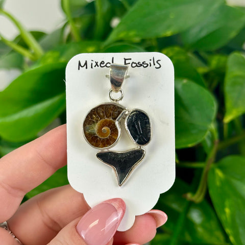 Fossil Pendant 1 - Kenna's Crystals from TikTok