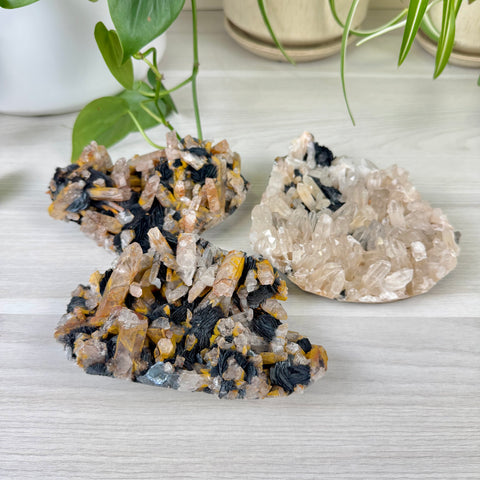 Hematite Roses With Harlequin Quartz Specimen