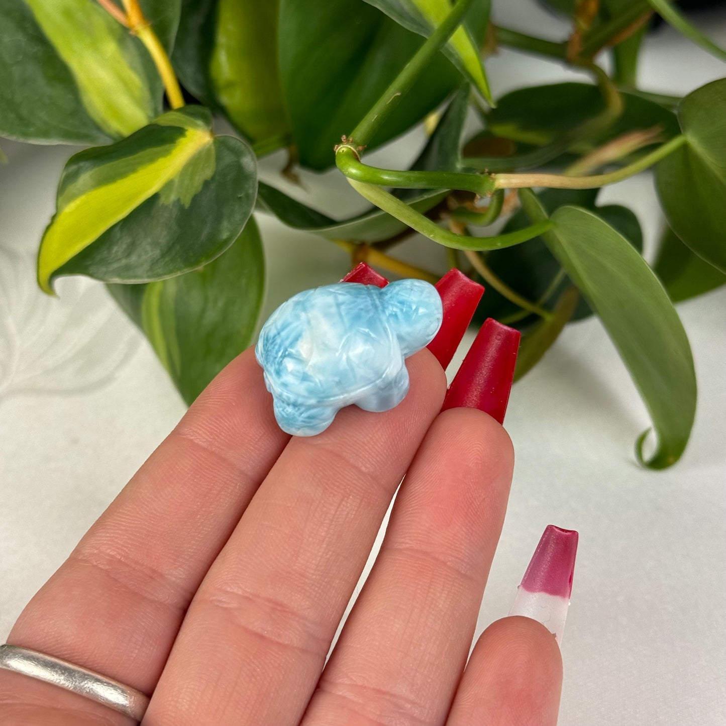 Mini Larimar Turtle