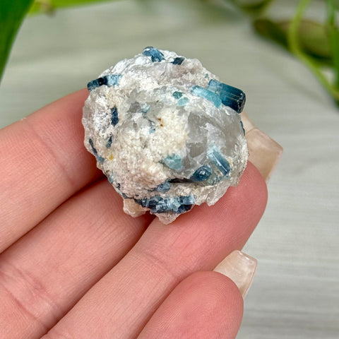 Indicolite Tourmaline Specimen