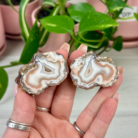 Moroccan Agate Pair