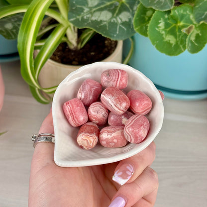 Rhodochrosite Forbidden Jelly Bean