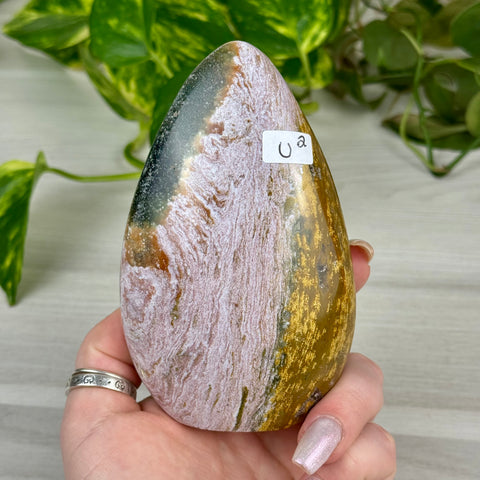 Sea Jasper Free Form