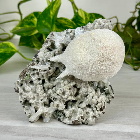 Mordenite Snowballs On Matrix Specimen