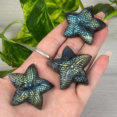 High Flash Labradorite Sea Star