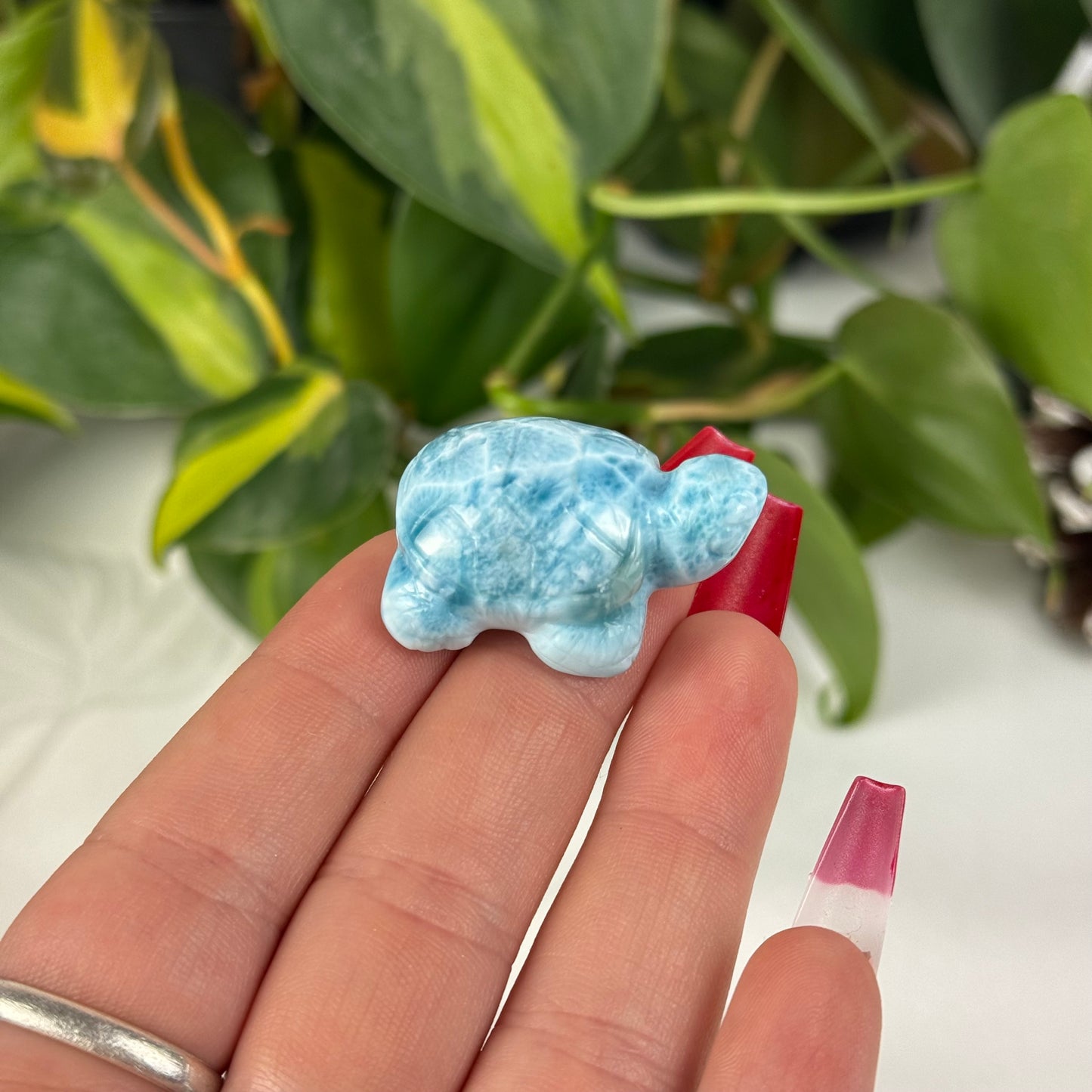 Mini Larimar Turtle