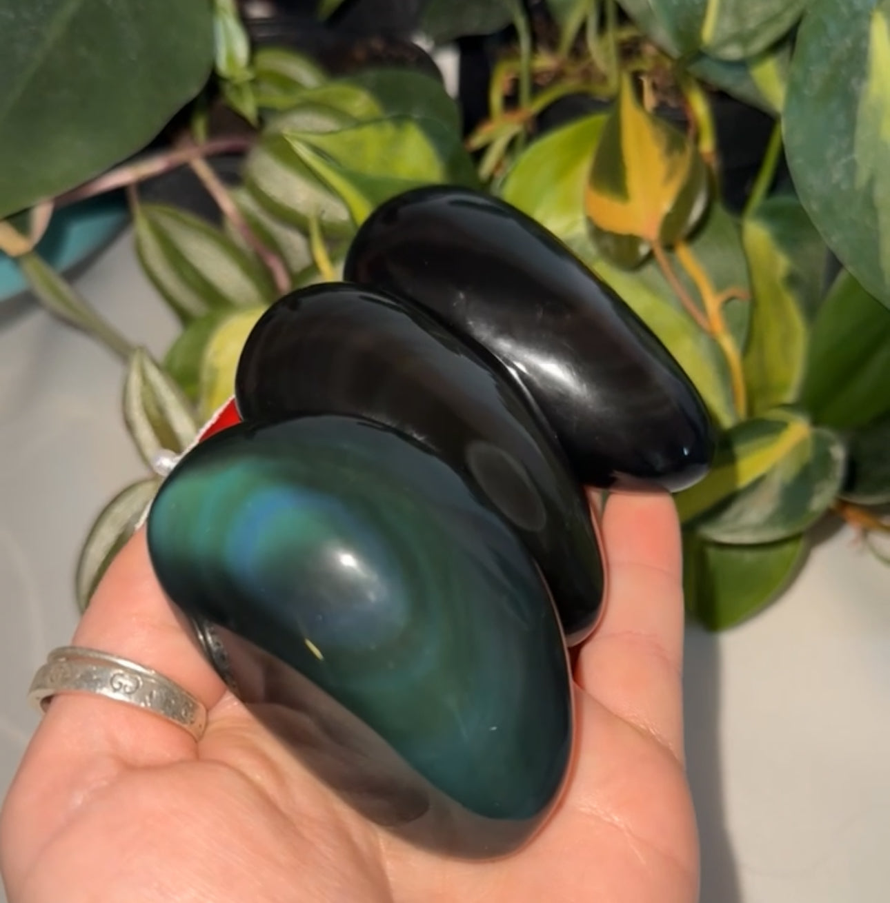 Rainbow Obsidian Palm Stone