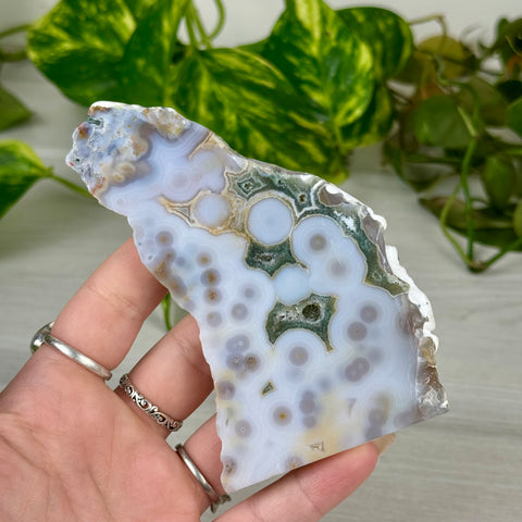 Ocean Jasper Slab