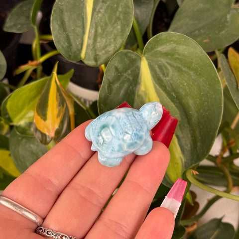 Mini Larimar Turtle - Crystal Carving