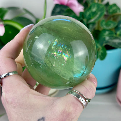 Green Grape Fluorite Sphere