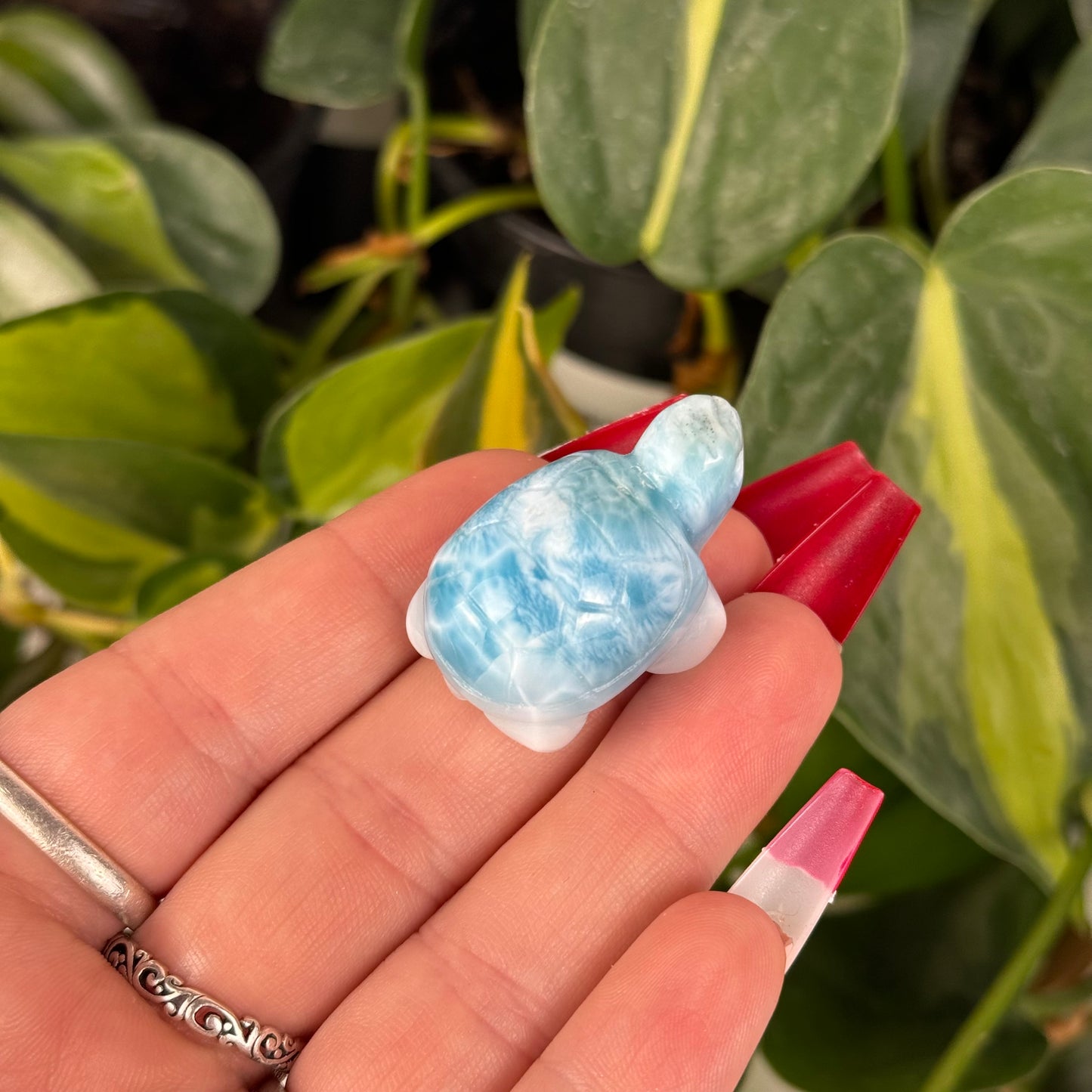 Mini Larimar Turtle