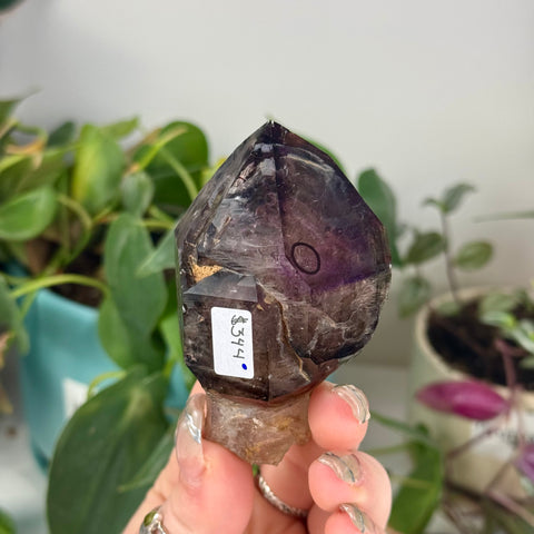 Enhydro Shangaan Amethyst
