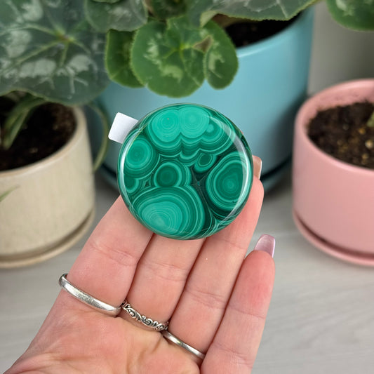 Malachite Cookie - U1