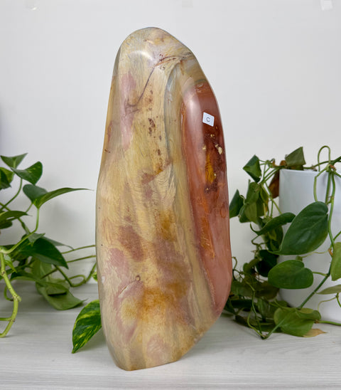 XL Polychrome Jasper Free Form