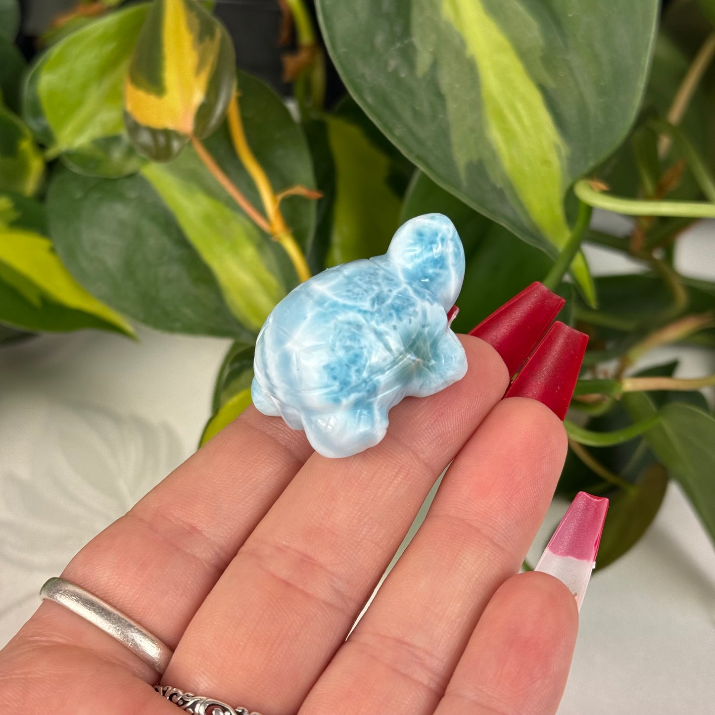 Mini Larimar Turtle