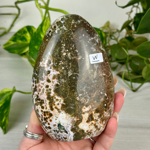 Sea Jasper Free Form
