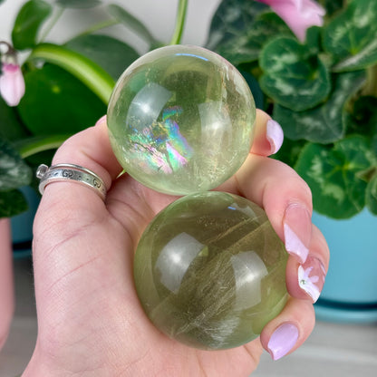 Green Grape Fluorite Sphere